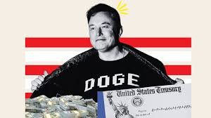 Doge stimulus check